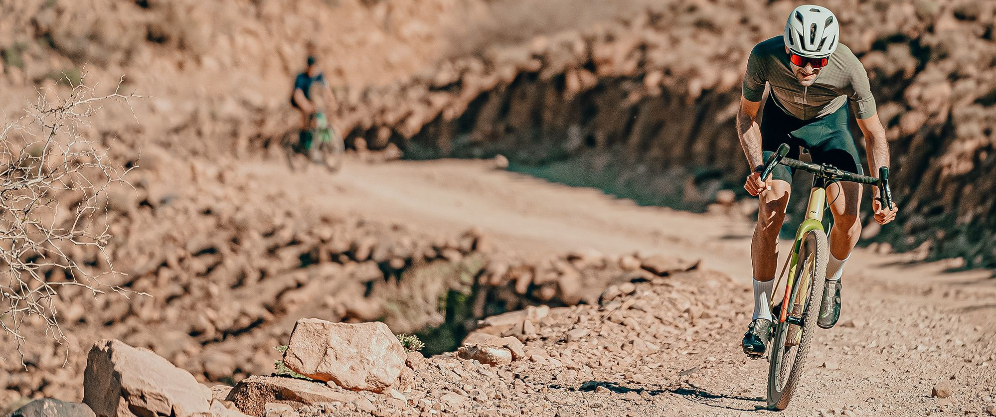 Felt Bicycles -Felt Bicycles 2